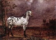 paulus potter, The Spotted Horse